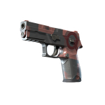 Souvenir P250 | Constructivist